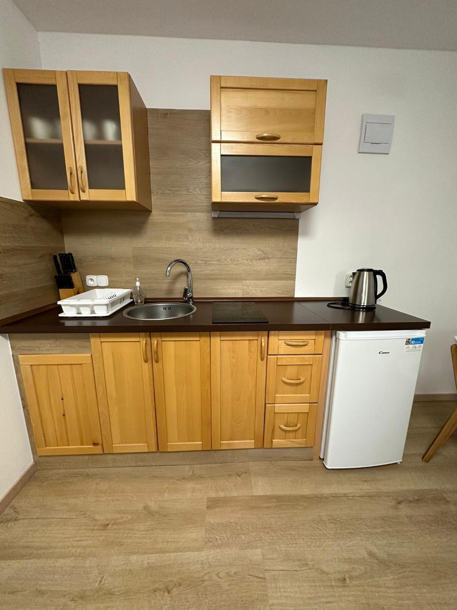Apartment Synka *